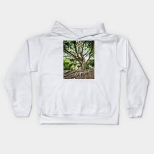 Mangrove Kids Hoodie